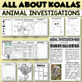 ANIMAL INVESTIGATIONS | All About Koalas | Activities and 
