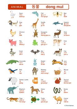 ANIMAL Korean Animals Poster | Bilingual Korean English ANIMALS | TPT