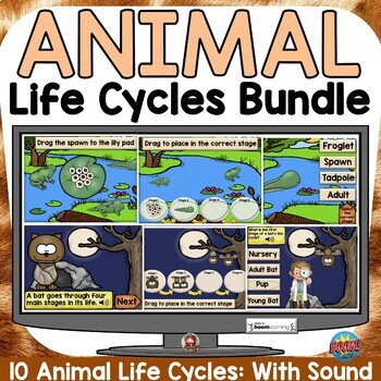 Preview of Animal Life Cycle Bundle Science Activities Boom Digital Cards