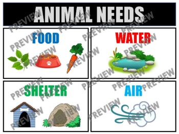 ANIMAL NEEDS Anchor Chart by ANCHOR CHART ALLEY | TPT