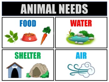 Preview of ANIMAL NEEDS Research Project Bundle