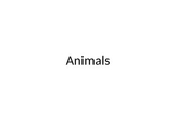 ANIMAL POWERPOINT - I use it with PECS