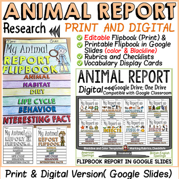 Preview of Animal Research Report Templates Project