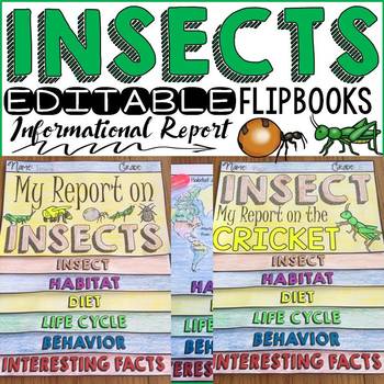 Preview of ANIMAL REPORT: INSECTS: INFORMATIONAL REPORTS: RESEARCH TEMPLATES
