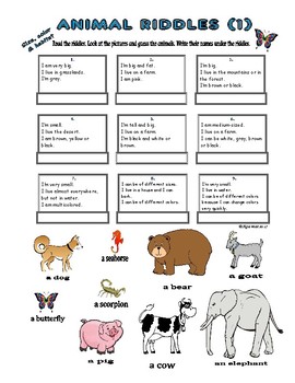 ANIMAL RIDDLES (1) Size, Habitat & Colors (Simple Reading Comprehension)