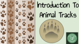 ANIMAL TRACK INTRODUCTION | Critical Thinking | Science | 