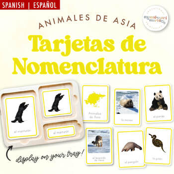 Preview of ANIMALES DE ASIA Montessori Tarjetas de Nomenclatura | Recursos en Español