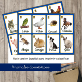 ANIMALES DOMÉSTICOS Flash Card en Español