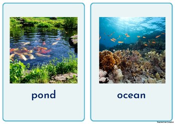 Preview of Animal Habitats Flash Cards for Kindergarten - Grade 3 and Special Education