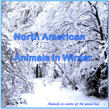 Preview of ANIMALS IN WINTER-PRESCHOOL & ELEMENTARY