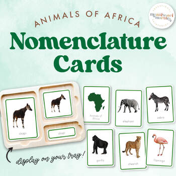 Preview of ANIMALS OF AFRICA Nomenclature Cards | Montessori Printable