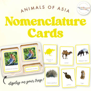 Preview of ANIMALS OF ASIA Nomenclature Cards | Montessori Printable