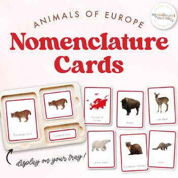 Preview of ANIMALS OF EUROPE Nomenclature Cards | Montessori Printable