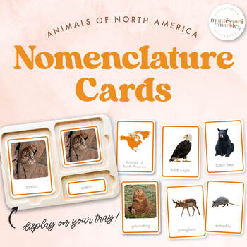 Preview of ANIMALS OF NORTH AMERICA Nomenclature Cards | Montessori Printable