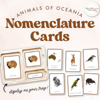 Preview of ANIMALS OF OCEANIA Nomenclature Cards | Montessori Printable