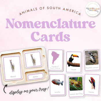 Preview of ANIMALS OF SOUTH AMERICA Nomenclature Cards | Montessori Printable