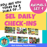 ANIMALS SET #1 SEL Check-ins How are you feeling? morning 