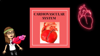 Preview of ANSWER KEY - CARDIOVASCULAR SYSTEM POWERPOINT
