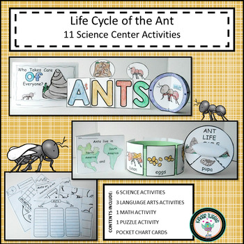 Preview of ANT LIFE CYCLE ACTIVITY RESOURCE CENTERS
