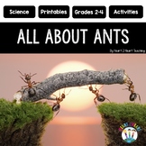 Ants Reading Comprehension Passages Activities & Flip Book