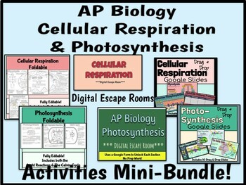 Preview of AP Bio Cellular Respiration & Photosynthesis Activities Mini-Bundle