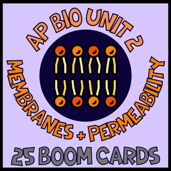 Preview of AP Bio Unit 2 Membrane Transport and Membrane Permeability Review Cards