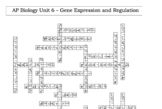 AP Bio Unit 6 (Natural Selection) Crossword - great for re
