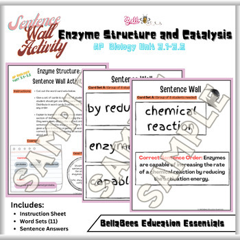 Preview of AP Biology 3.1-3.2 Sentence Wall Activity: Enzyme Structure and Catalysis