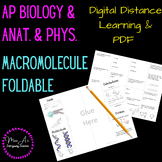 AP Biology/ Anatomy & Phys. Biomolecule/Macromolecule INB 