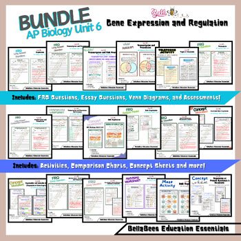 Preview of AP Biology Bundle: Unit 6 Gene Expression and Regulation