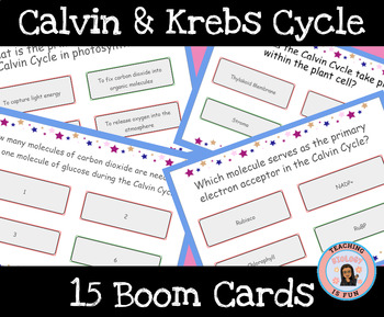 Preview of AP Biology Calvin Krebs Cycle Boom Cards
