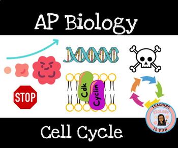Preview of AP Biology Cell Cycle Cell Signaling Feedback Loops