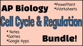 Preview of AP Biology Cell Cycle & Regulation Bundle