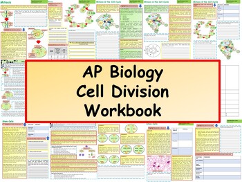 Preview of AP Biology: Cell Division Workbook
