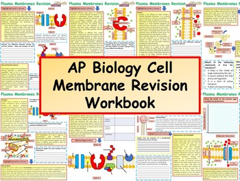 Preview of AP Biology Cell Membrane Revision Workbook