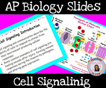 Preview of AP Biology Cell Signaling Communication Slides Presentation EDITABLE