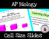 AP Biology Cell Size Surface Area EDITABLE