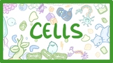 AP® Biology Cell Structure/ Function, Cell Transport, Nerv