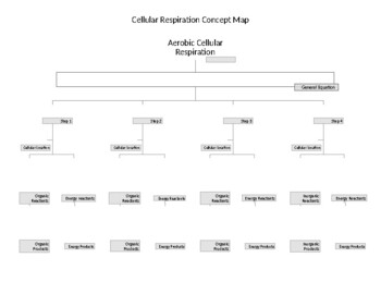 Preview of AP Biology Cellular Respiration Concept Map