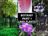 AP® Biology Chapter 29 and 30: Botany