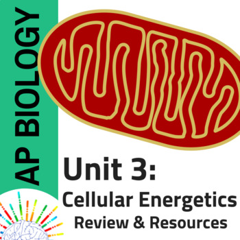 Preview of AP Biology Comprehensive Review plus Resources for Unit 3: Cell Energetics