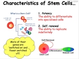 AP Biology Unit 6. Gene Expression and Regulation, 1st yea