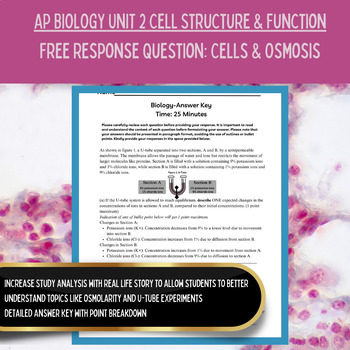 Preview of AP Biology Curriculum | Unit 2 Free Response Question FRQ | Osmosis Worksheets