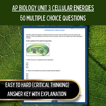 Preview of AP Biology Curriculum | Unit 3 50 Multiple Choice| Cellular Energetics Worksheet