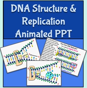 Dna Structure Slides Teaching Resources | TPT