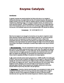 Preview of AP Biology Enzyme Catalysis Lab