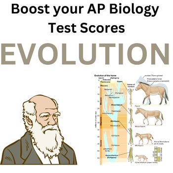 Preview of AP Biology Evolution and Common Ancestry Labs and Multiple Choice