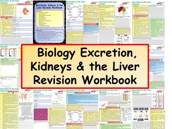 Preview of AP Biology Excretion, Kidneys & the Liver Revision Workbook