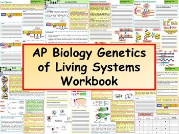 Preview of AP Biology: Genetics of Living Systems Workbook