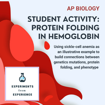 Preview of AP Biology - Hemoglobin Protein Folding Guided Learning Student Activity